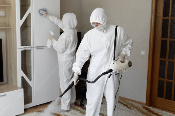 Trusted Rowland Heights, CA Mold Remediation Experts